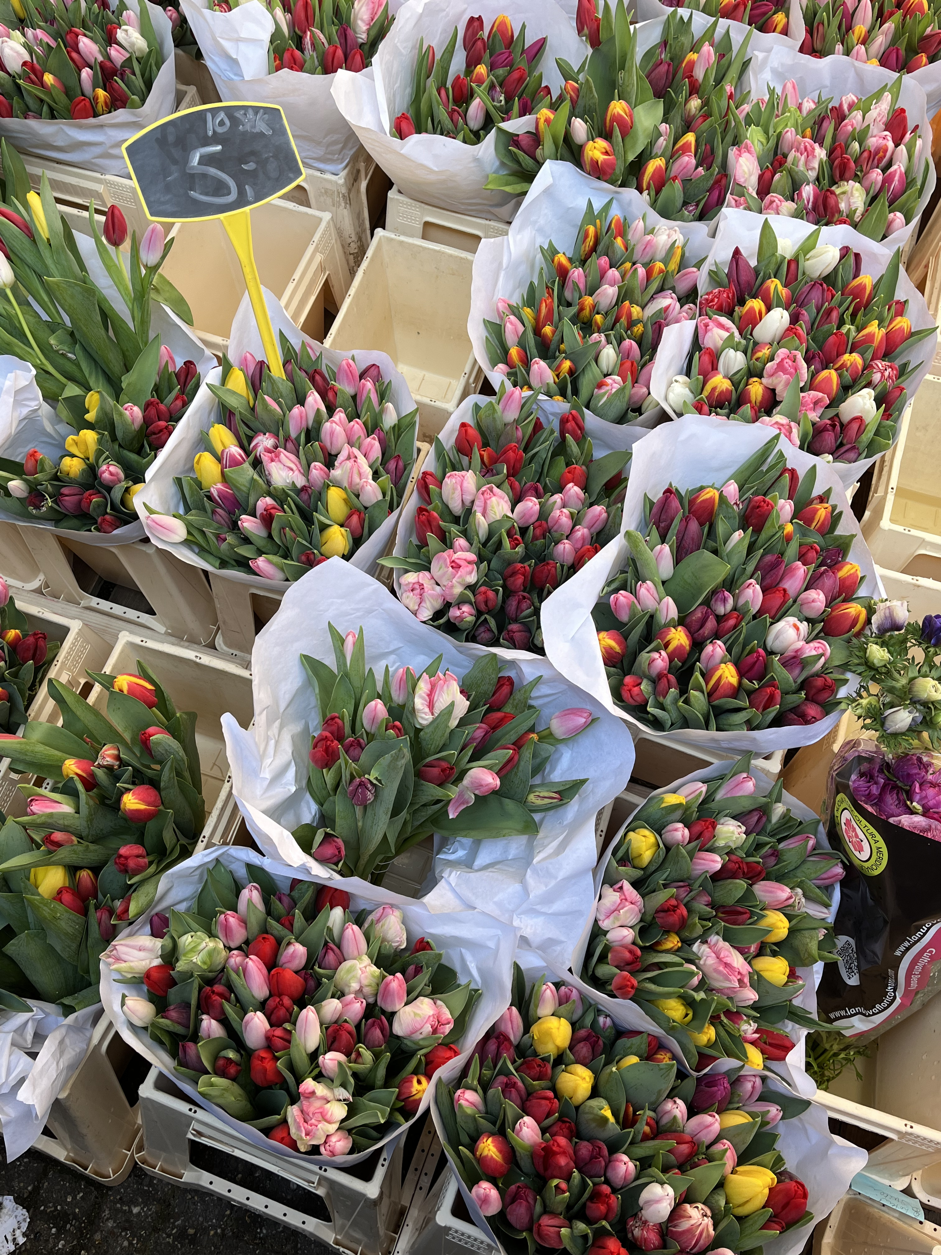 winkels in Den Bosch