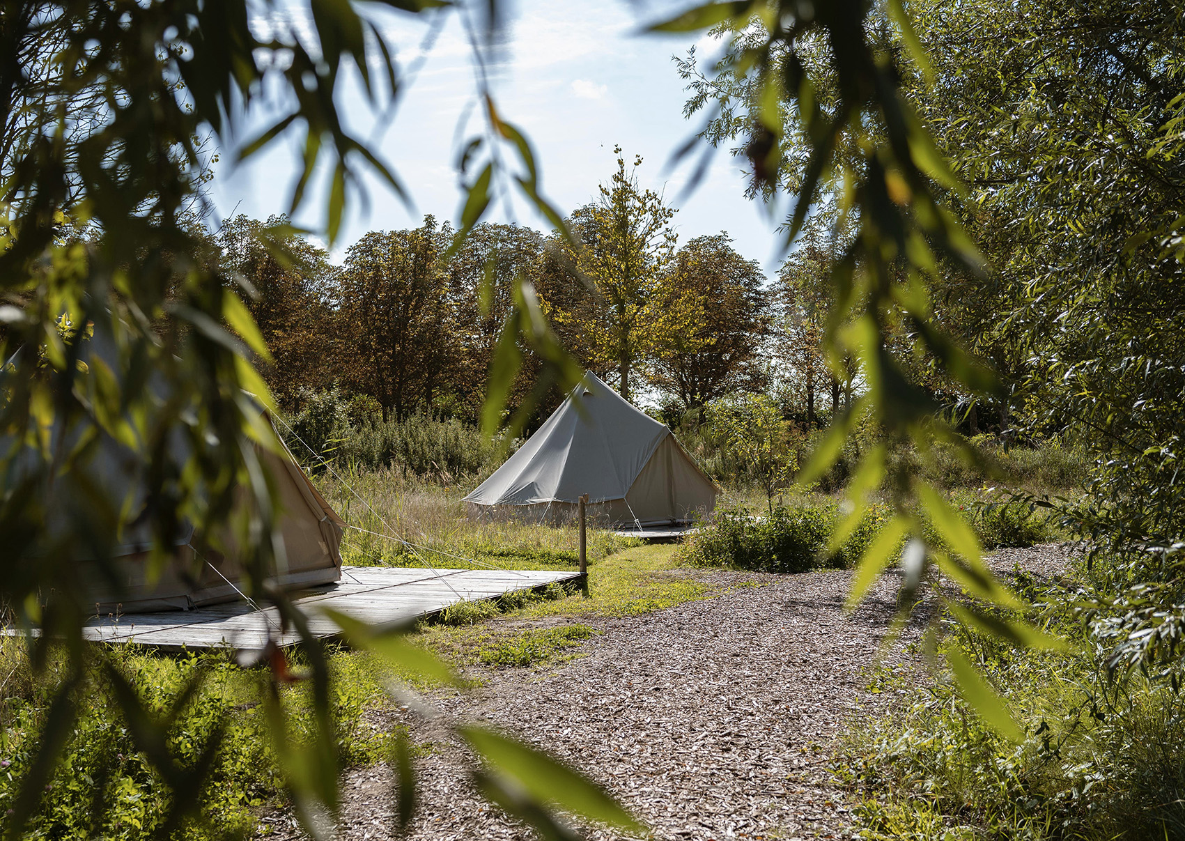 digital detox retreat